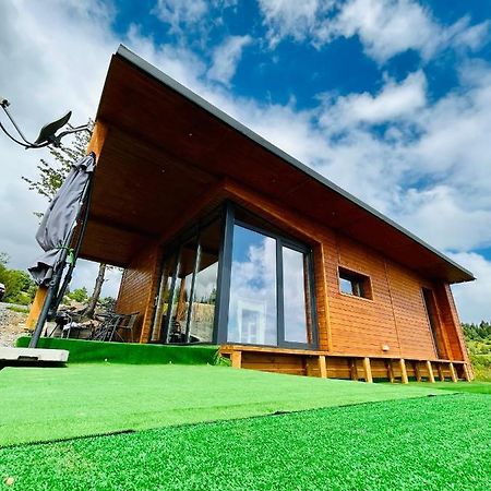 Sweet Escape Vladeasa Villa Rogojel Dış mekan fotoğraf